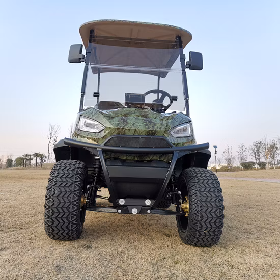 メーカー無料カスタムカラー OEM 電動スポーツゴルフバギーカート卸売バッテリー 4 輪 2 乗用電動小型車ミニカー 1 人豪華シート付き